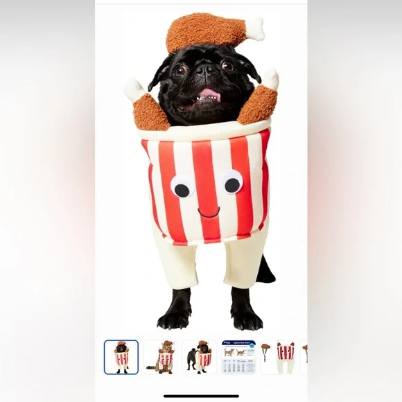 Frisco Front Walking Fried Chicken Bucket. Dog or Cat Costume - Picture 1 of 8